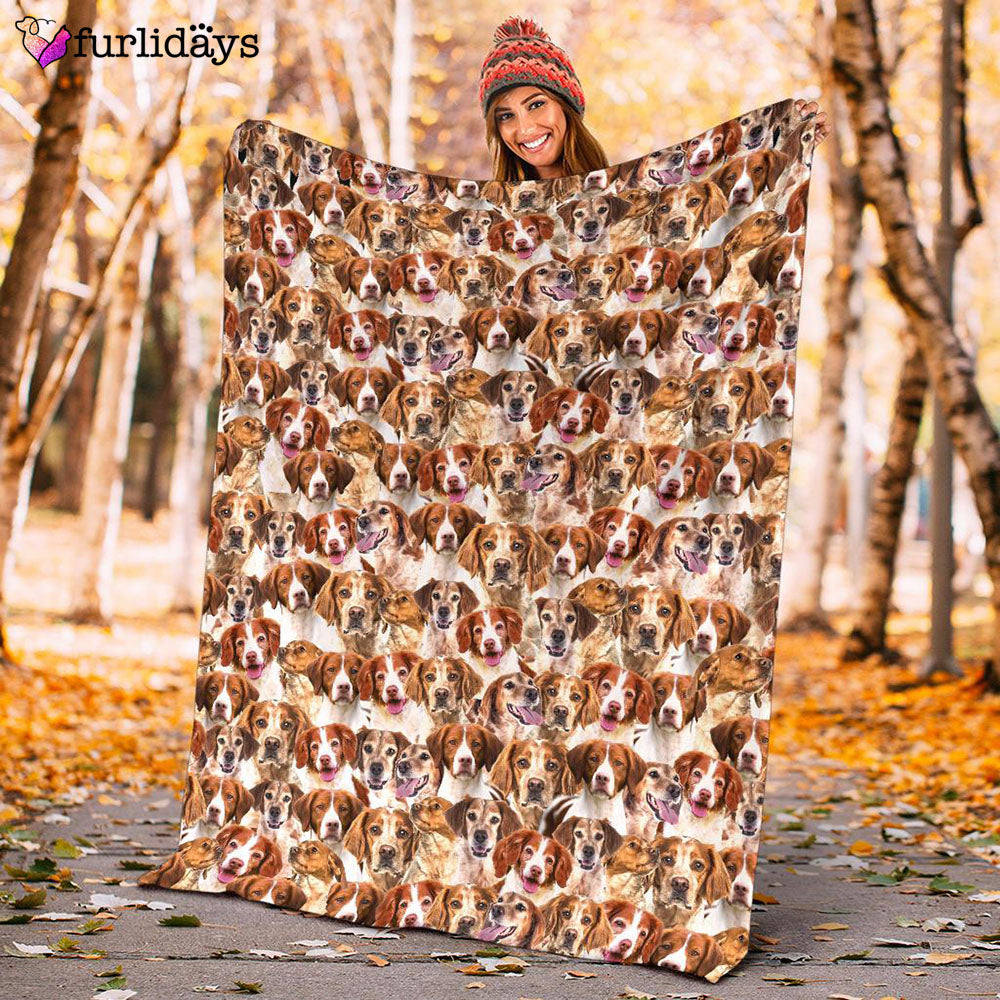 Dog Blanket Dog Face Blanket Dog Throw Blanket Brittany Full Face Blanket Furlidays 10 Dog Blanket Dog Face Blanket Dog Throw Blanket Brittany Full Face Blanket Furlidays 10