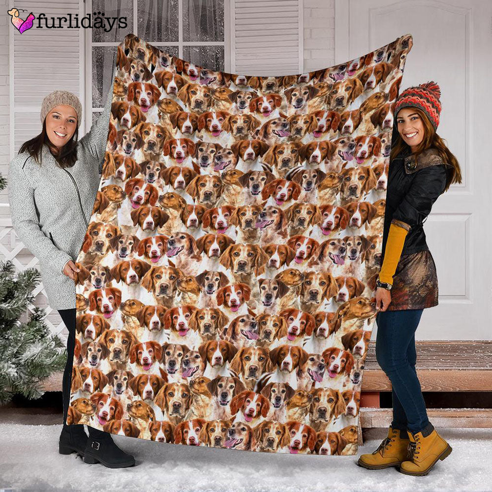 Dog Blanket Dog Face Blanket Dog Throw Blanket Brittany Full Face Blanket Furlidays 3 Dog Blanket Dog Face Blanket Dog Throw Blanket Brittany Full Face Blanket Furlidays 3