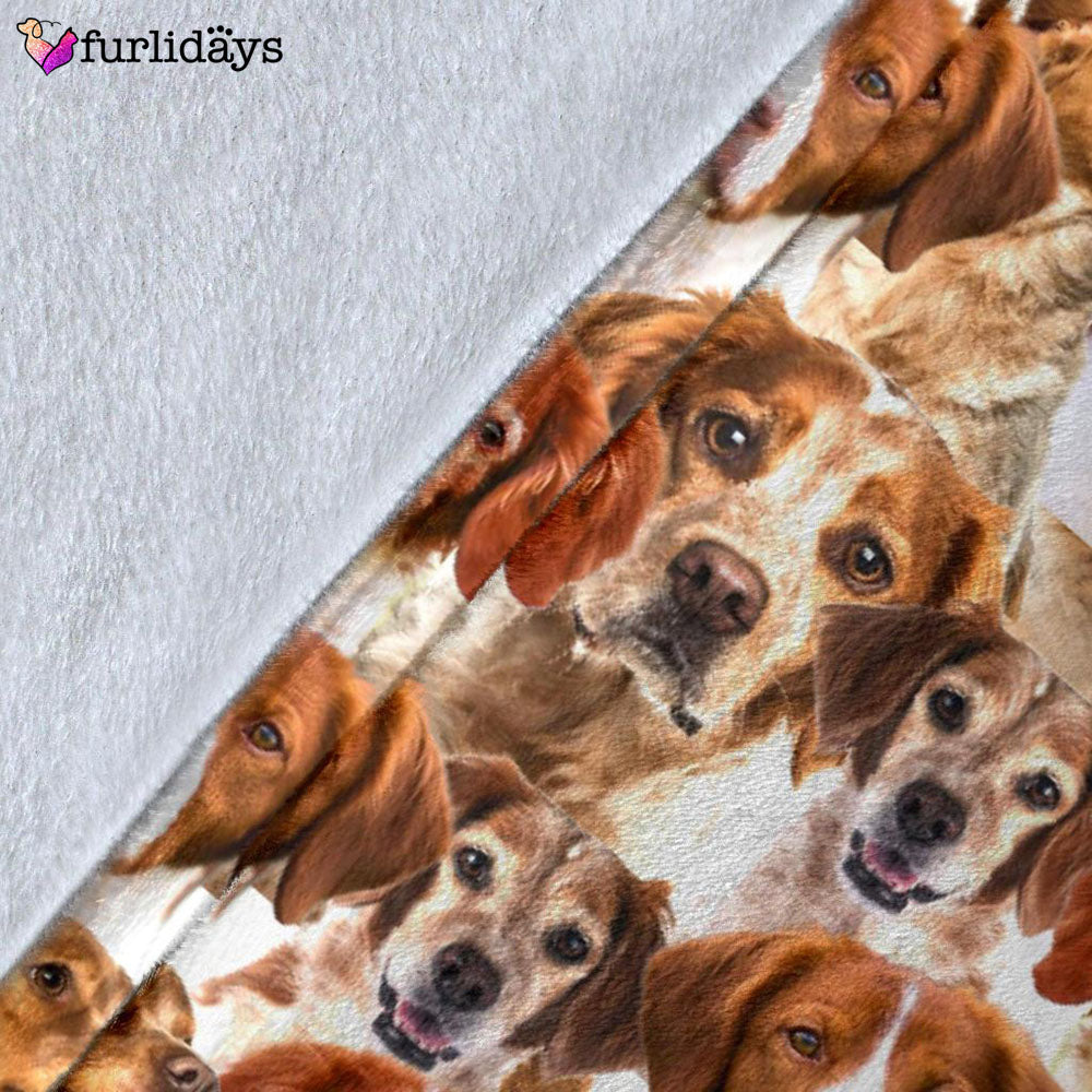 Dog Blanket Dog Face Blanket Dog Throw Blanket Brittany Full Face Blanket Furlidays 5 Dog Blanket Dog Face Blanket Dog Throw Blanket Brittany Full Face Blanket Furlidays 5