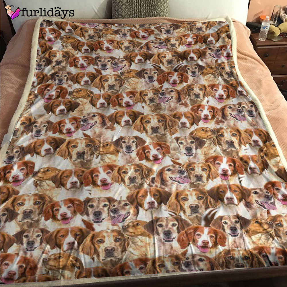 Dog Blanket Dog Face Blanket Dog Throw Blanket Brittany Full Face Blanket Furlidays 6 Dog Blanket Dog Face Blanket Dog Throw Blanket Brittany Full Face Blanket Furlidays 6