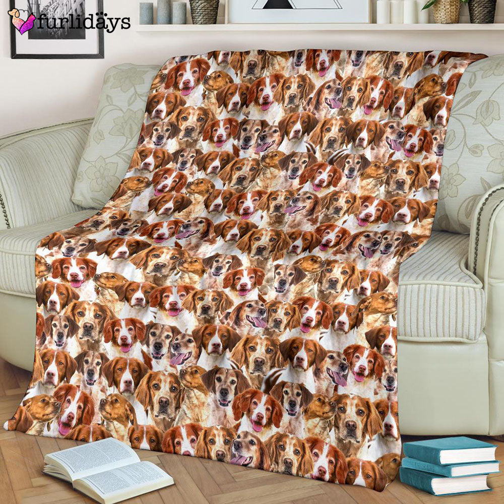 Dog Blanket Dog Face Blanket Dog Throw Blanket Brittany Full Face Blanket Furlidays 8 Dog Blanket Dog Face Blanket Dog Throw Blanket Brittany Full Face Blanket Furlidays 8