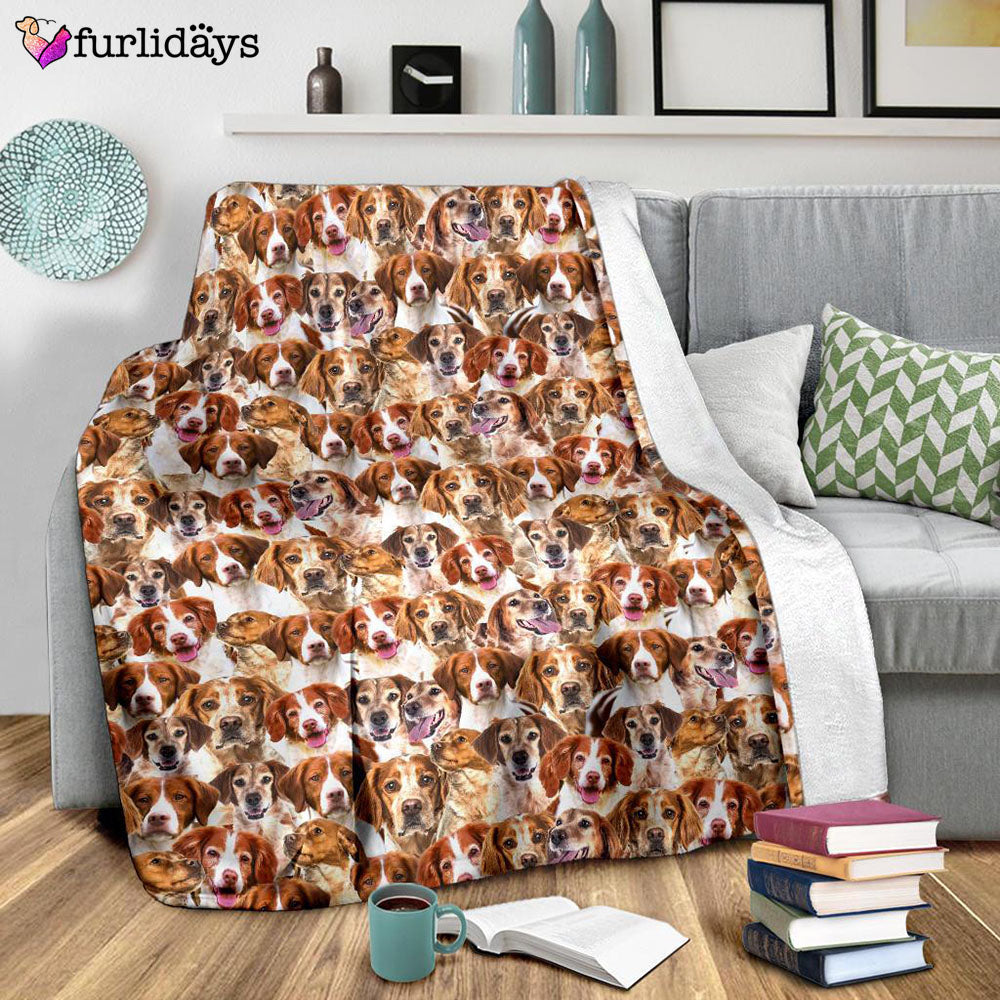 Dog Blanket Dog Face Blanket Dog Throw Blanket Brittany Full Face Blanket Furlidays 9 Dog Blanket Dog Face Blanket Dog Throw Blanket Brittany Full Face Blanket Furlidays 9