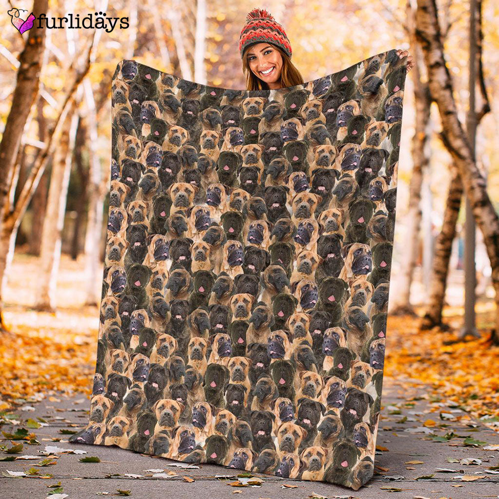 Dog Blanket Dog Face Blanket Dog Throw Blanket Bullmastiff Full Face Blanket Furlidays 10 af7b183e 10d9 4f95 a92d ffab225606c9 Dog Blanket Dog Face Blanket Dog Throw Blanket Bullmastiff Full Face Blanket Furlidays 10 af7b183e 10d9 4f95 a92d ffab225606c9