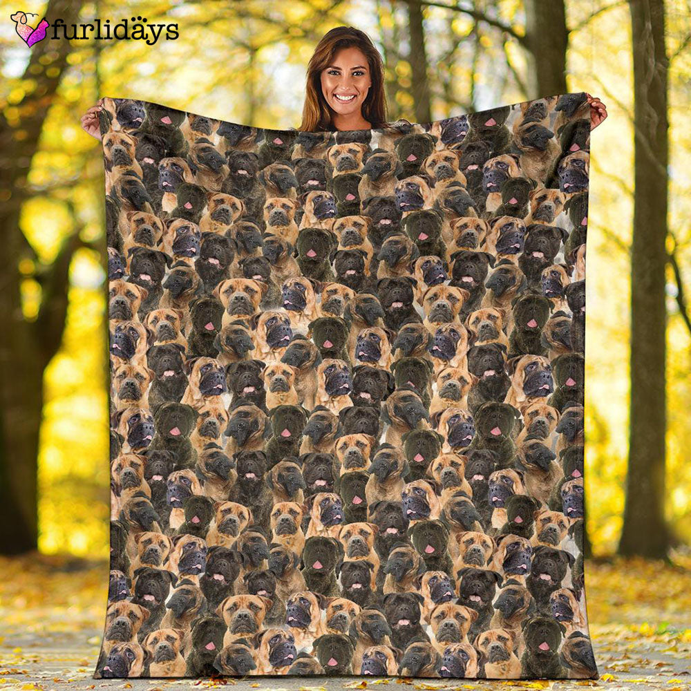 Dog Blanket Dog Face Blanket Dog Throw Blanket Bullmastiff Full Face Blanket Furlidays 2 db3af3b3 18cf 4847 a69c 7e74fbbbd52e Dog Blanket Dog Face Blanket Dog Throw Blanket Bullmastiff Full Face Blanket Furlidays 2 db3af3b3 18cf 4847 a69c 7e74fbbbd52e