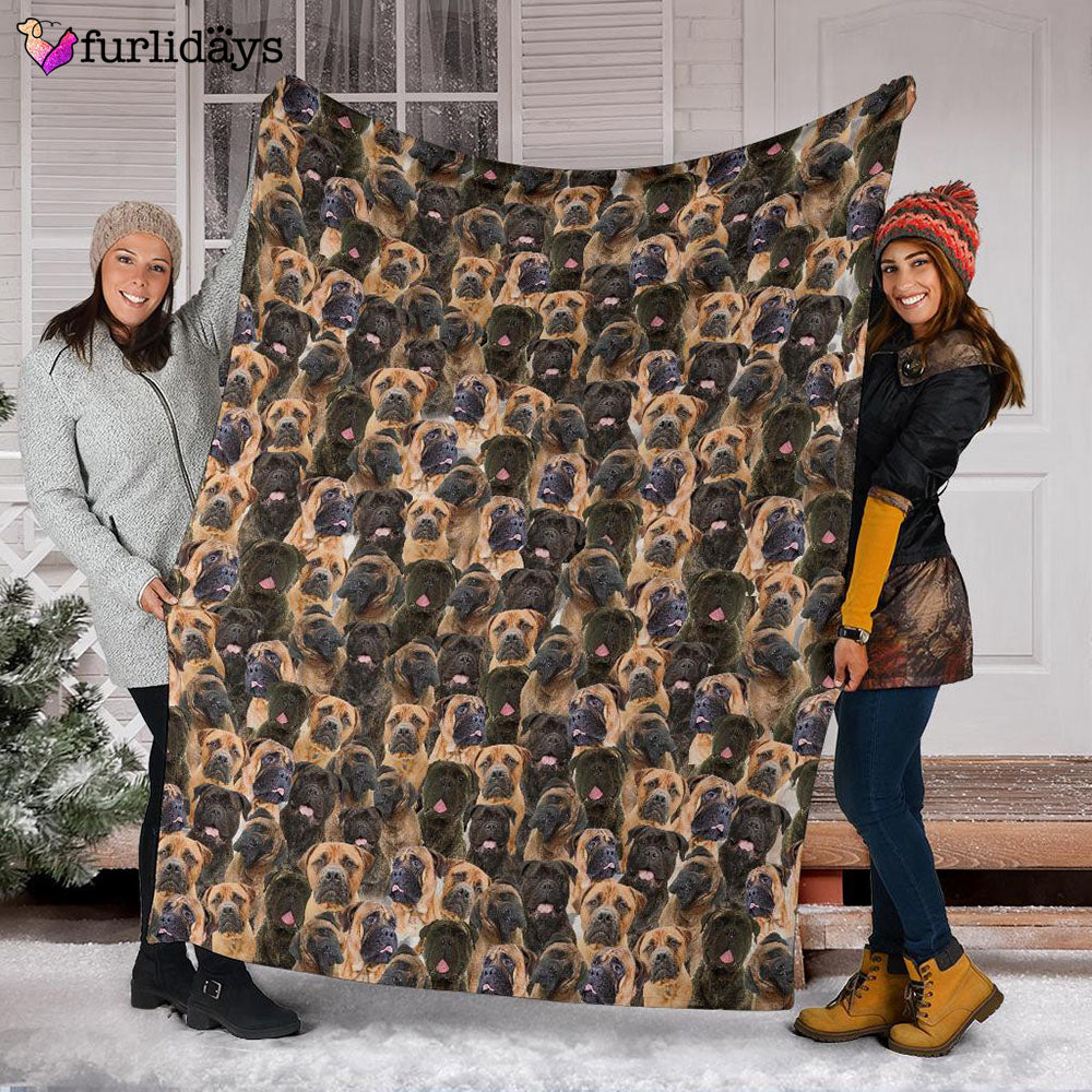Dog Blanket Dog Face Blanket Dog Throw Blanket Bullmastiff Full Face Blanket Furlidays 3 Dog Blanket Dog Face Blanket Dog Throw Blanket Bullmastiff Full Face Blanket Furlidays 3