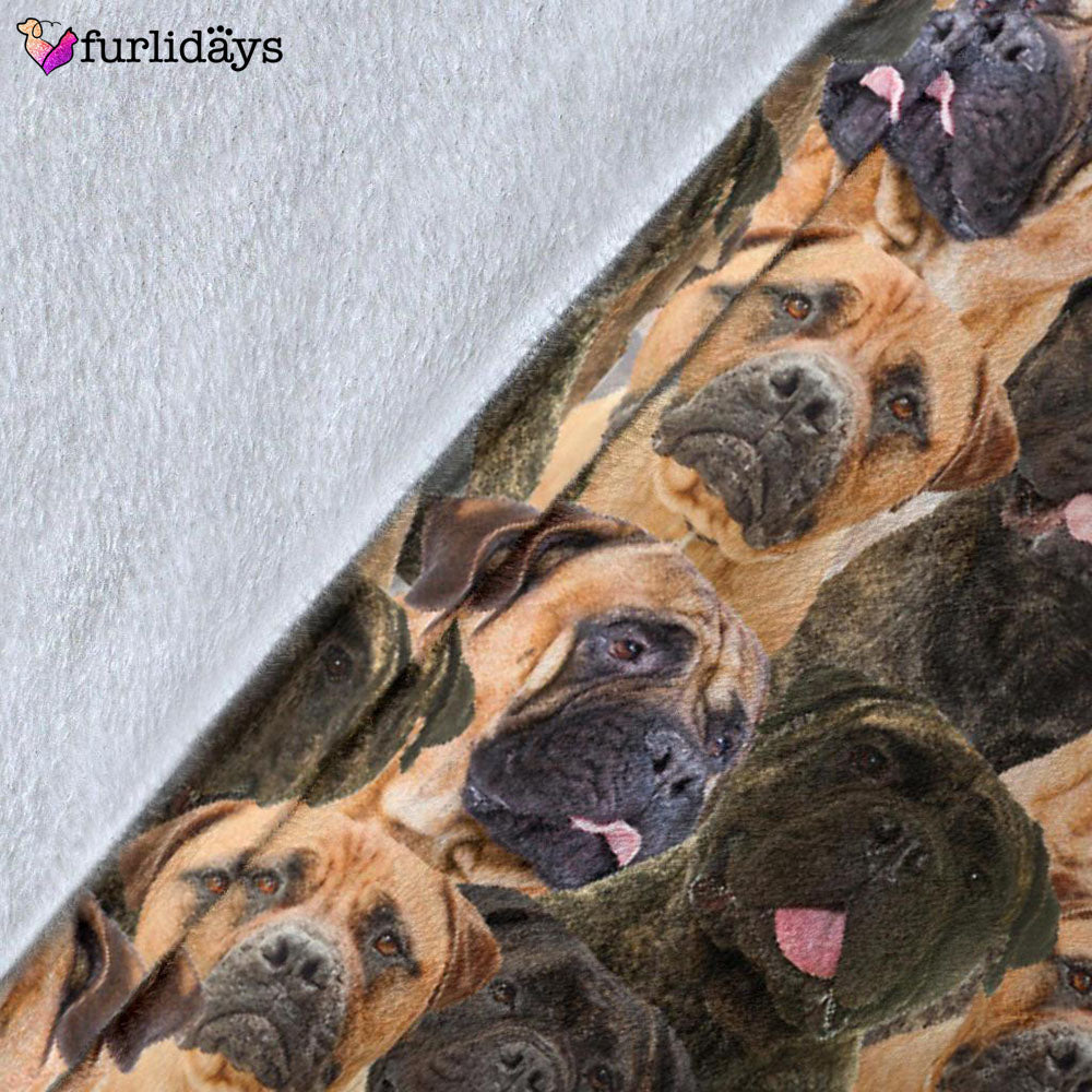 Dog Blanket Dog Face Blanket Dog Throw Blanket Bullmastiff Full Face Blanket Furlidays 5 5413f9f7 18c3 4cdd a09d fc480c33d4a4 Dog Blanket Dog Face Blanket Dog Throw Blanket Bullmastiff Full Face Blanket Furlidays 5 5413f9f7 18c3 4cdd a09d fc480c33d4a4