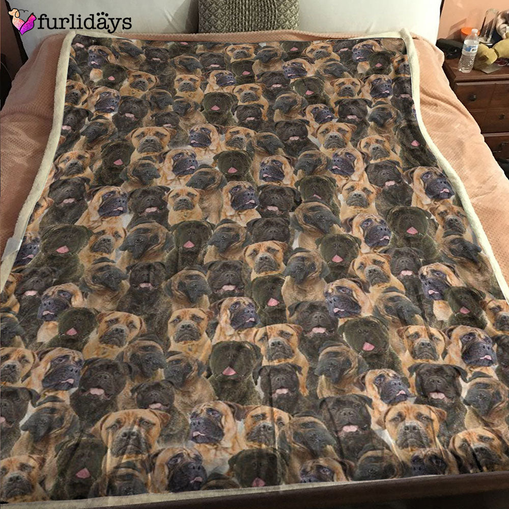 Dog Blanket Dog Face Blanket Dog Throw Blanket Bullmastiff Full Face Blanket Furlidays 6 Dog Blanket Dog Face Blanket Dog Throw Blanket Bullmastiff Full Face Blanket Furlidays 6