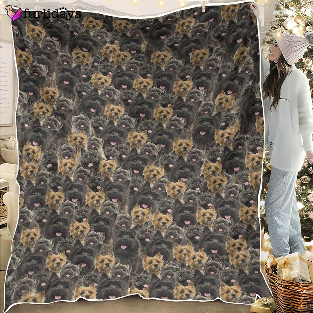 Dog Blanket Dog Face Blanket Dog Throw Blanket Cairn Terrier Full Face Blanket Furlidays 1 Dog Blanket Dog Face Blanket Dog Throw Blanket Cairn Terrier Full Face Blanket Furlidays 1