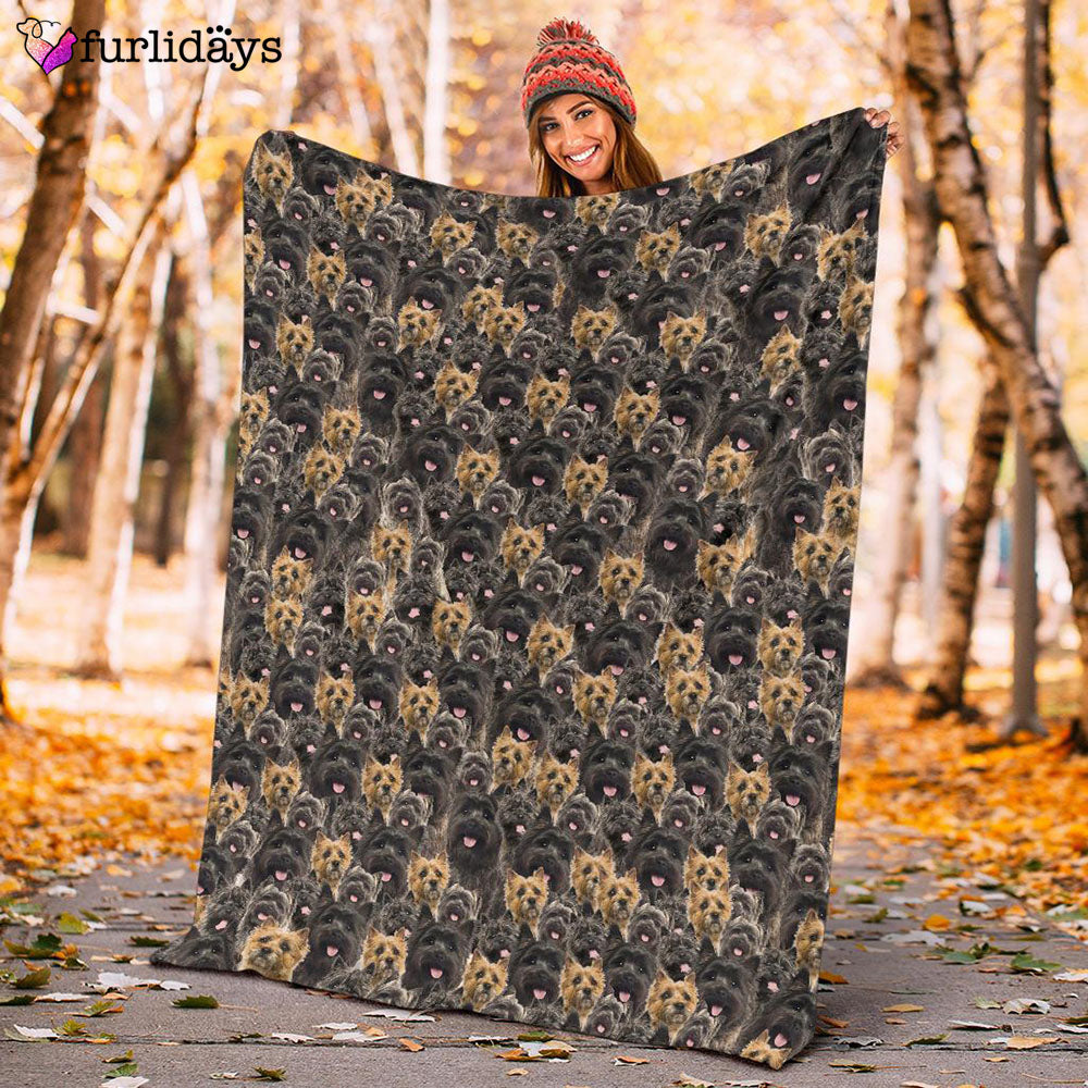 Dog Blanket Dog Face Blanket Dog Throw Blanket Cairn Terrier Full Face Blanket Furlidays 10 Dog Blanket Dog Face Blanket Dog Throw Blanket Cairn Terrier Full Face Blanket Furlidays 10