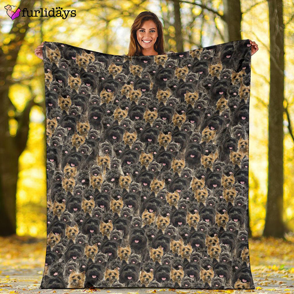 Dog Blanket Dog Face Blanket Dog Throw Blanket Cairn Terrier Full Face Blanket Furlidays 2 87bcd04a 03ea 4d77 9bdc cb8dac133934 Dog Blanket Dog Face Blanket Dog Throw Blanket Cairn Terrier Full Face Blanket Furlidays 2 87bcd04a 03ea 4d77 9bdc cb8dac133934