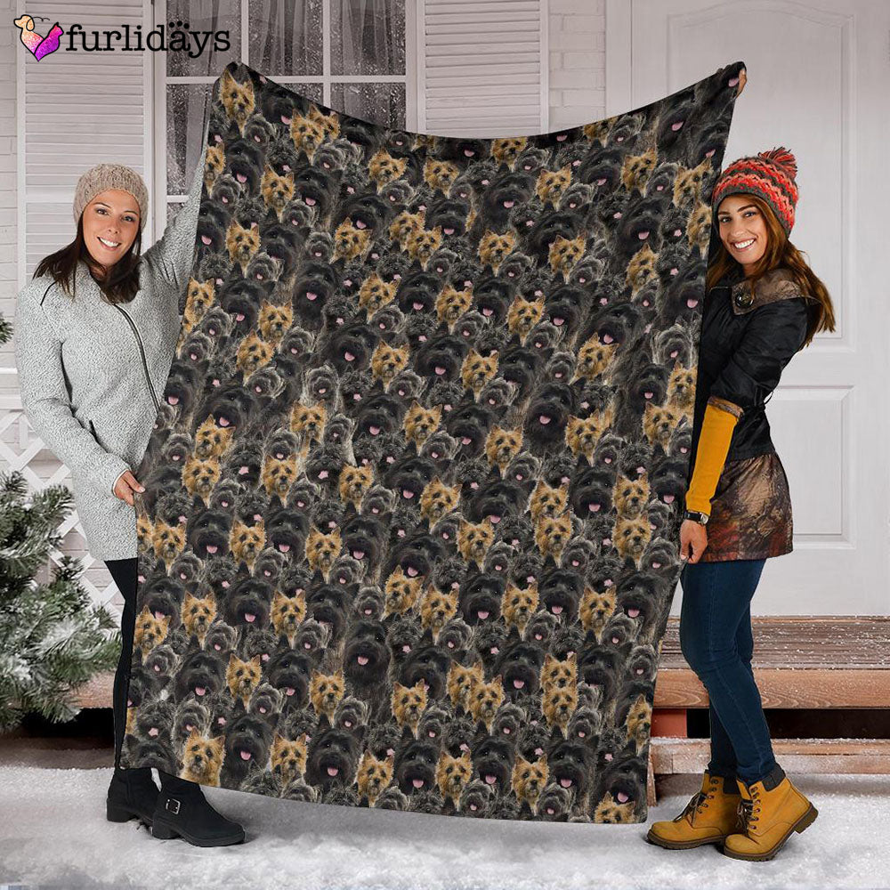 Dog Blanket Dog Face Blanket Dog Throw Blanket Cairn Terrier Full Face Blanket Furlidays 3 Dog Blanket Dog Face Blanket Dog Throw Blanket Cairn Terrier Full Face Blanket Furlidays 3