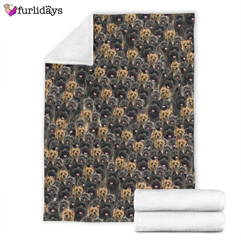Dog Blanket Dog Face Blanket Dog Throw Blanket Cairn Terrier Full Face Blanket Furlidays 4 Dog Blanket Dog Face Blanket Dog Throw Blanket Cairn Terrier Full Face Blanket Furlidays 4