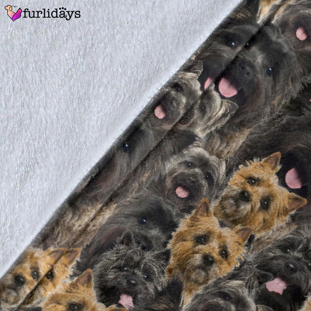 Dog Blanket Dog Face Blanket Dog Throw Blanket Cairn Terrier Full Face Blanket Furlidays 5 Dog Blanket Dog Face Blanket Dog Throw Blanket Cairn Terrier Full Face Blanket Furlidays 5