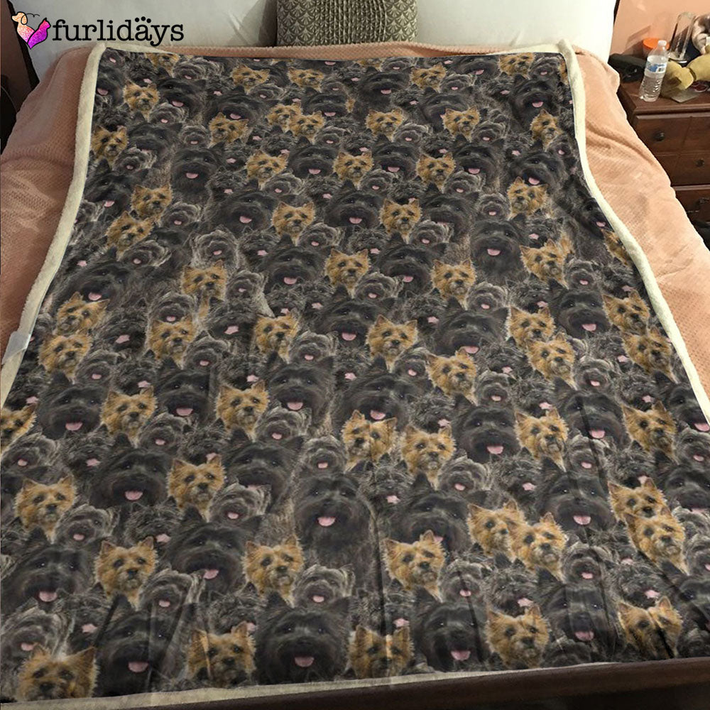 Dog Blanket Dog Face Blanket Dog Throw Blanket Cairn Terrier Full Face Blanket Furlidays 6 a73f3435 5f3d 4f05 8d7c b22ab1351beb Dog Blanket Dog Face Blanket Dog Throw Blanket Cairn Terrier Full Face Blanket Furlidays 6 a73f3435 5f3d 4f05 8d7c b22ab1351beb
