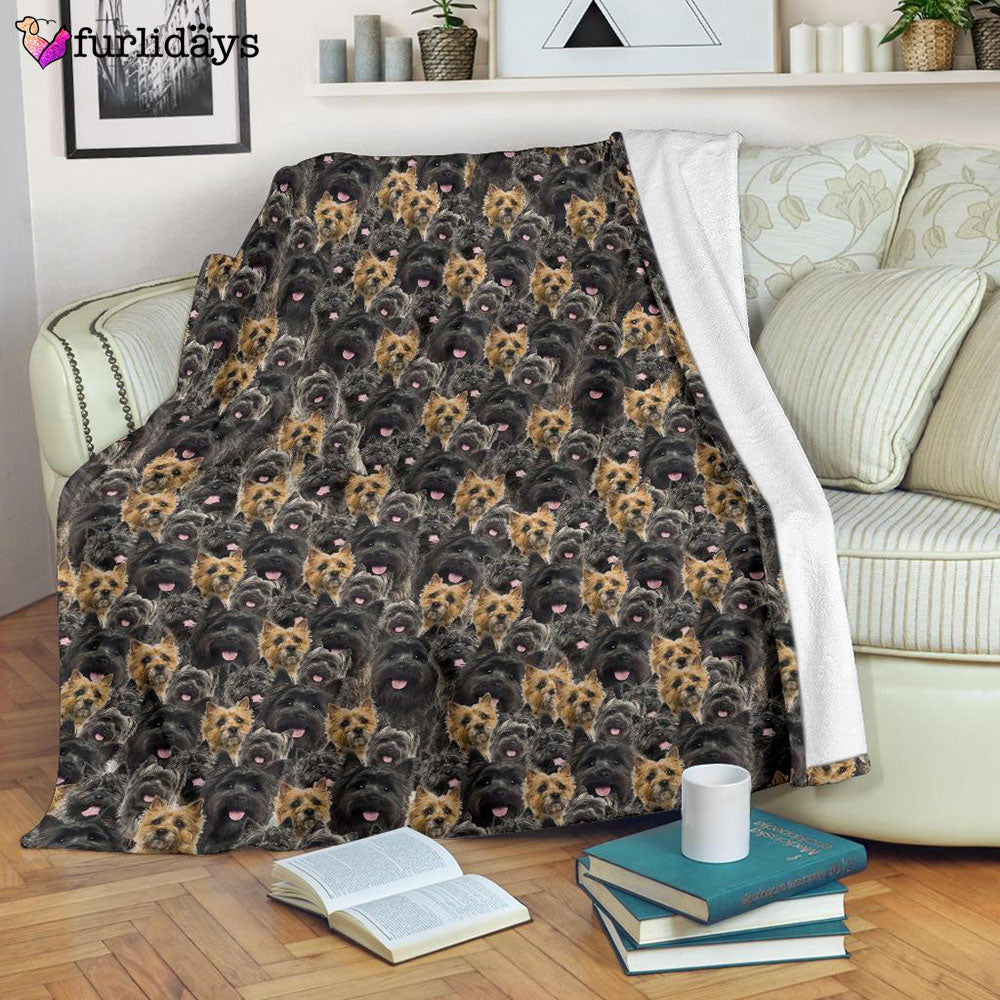 Dog Blanket Dog Face Blanket Dog Throw Blanket Cairn Terrier Full Face Blanket Furlidays 7 dad0a08f aa30 496f b74c 706865990b10 Dog Blanket Dog Face Blanket Dog Throw Blanket Cairn Terrier Full Face Blanket Furlidays 7 dad0a08f aa30 496f b74c 706865990b10
