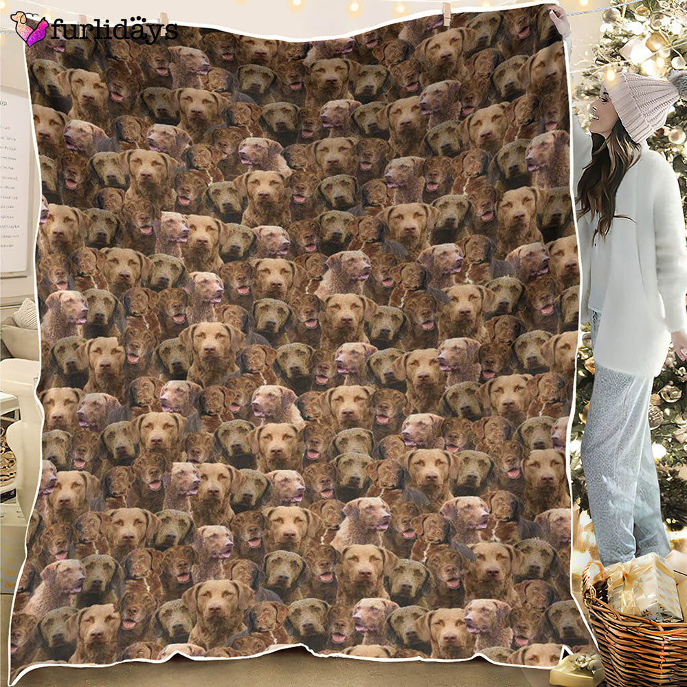 Dog Blanket Dog Face Blanket Dog Throw Blanket Chesapeake Bay Retriever Full Face Blanket Furlidays 1 Dog Blanket Dog Face Blanket Dog Throw Blanket Chesapeake Bay Retriever Full Face Blanket Furlidays 1