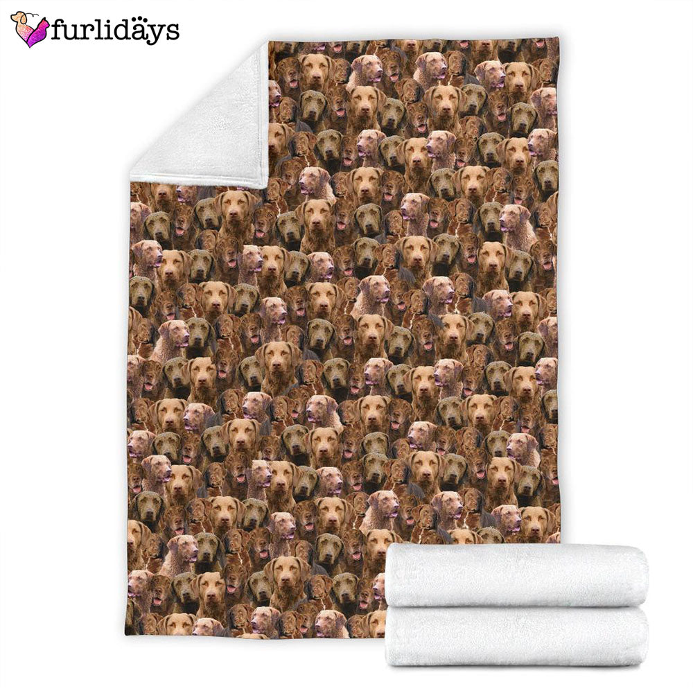 Dog Blanket Dog Face Blanket Dog Throw Blanket Chesapeake Bay Retriever Full Face Blanket Furlidays 2 Dog Blanket Dog Face Blanket Dog Throw Blanket Chesapeake Bay Retriever Full Face Blanket Furlidays 2