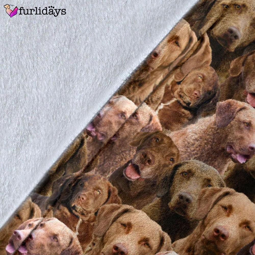 Dog Blanket Dog Face Blanket Dog Throw Blanket Chesapeake Bay Retriever Full Face Blanket Furlidays 3 00ea1792 d764 48a5 8357 62f3683623ec Dog Blanket Dog Face Blanket Dog Throw Blanket Chesapeake Bay Retriever Full Face Blanket Furlidays 3 00ea1792 d764 48a5 8357 62f3683623ec