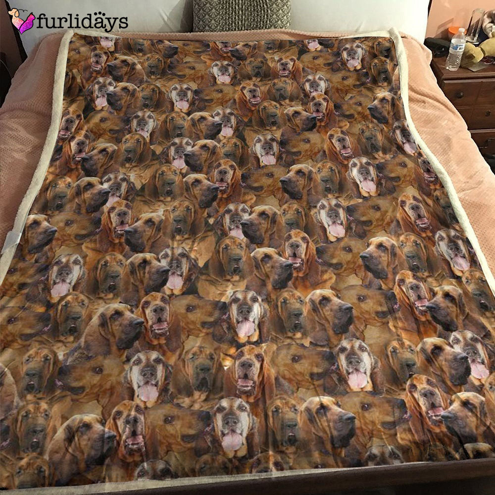 Dog Blanket Dog Face Blanket Dog Throw Blanket Chihuahua 2 Face Hair Blanket Furlidays 1 102b4f48 3a55 4c08 9b0e 9c673f43b16f Dog Blanket Dog Face Blanket Dog Throw Blanket Chihuahua 2 Face Hair Blanket Furlidays 1 102b4f48 3a55 4c08 9b0e 9c673f43b16f