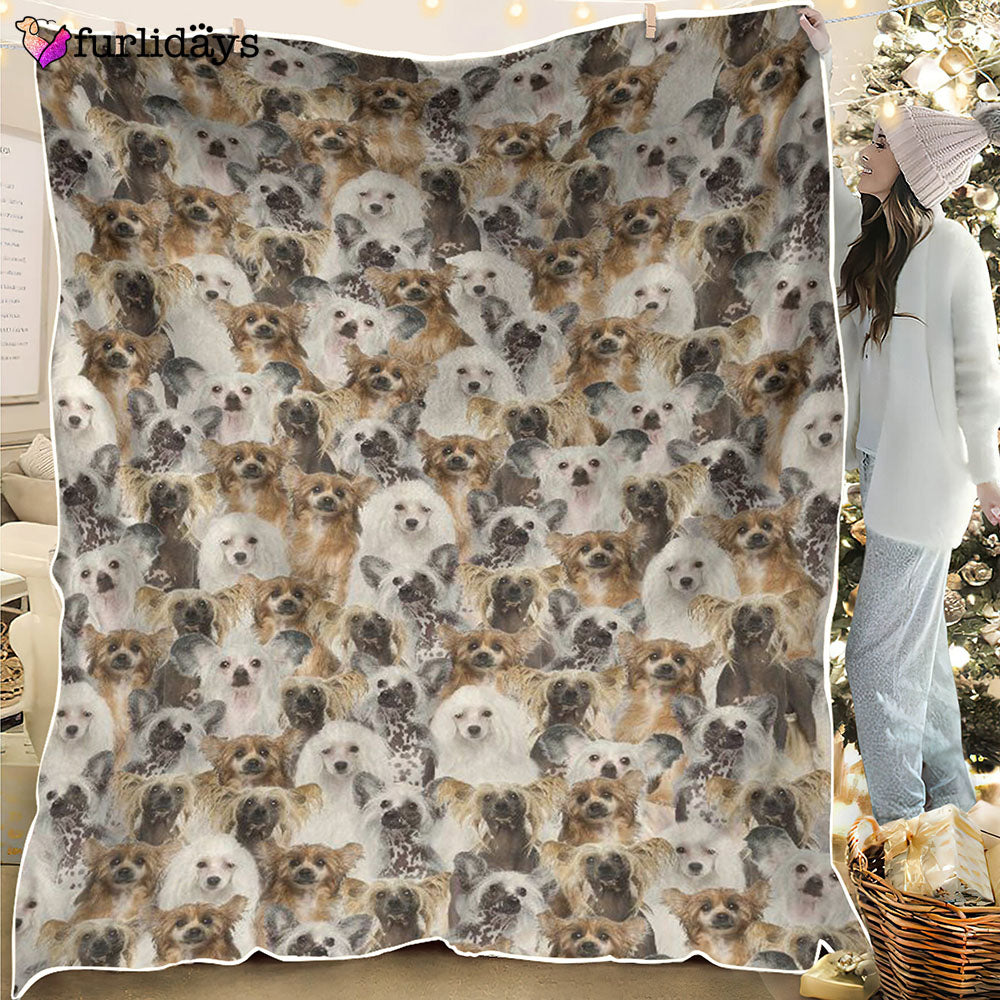 Dog Blanket Dog Face Blanket Dog Throw Blanket Chinese Crested Dog Full Face Blanket Furlidays 1 Dog Blanket Dog Face Blanket Dog Throw Blanket Chinese Crested Dog Full Face Blanket Furlidays 1