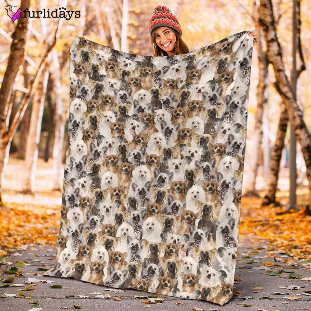 Dog Blanket Dog Face Blanket Dog Throw Blanket Chinese Crested Dog Full Face Blanket Furlidays 10 Dog Blanket Dog Face Blanket Dog Throw Blanket Chinese Crested Dog Full Face Blanket Furlidays 10