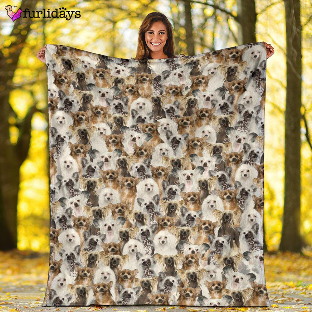 Dog Blanket Dog Face Blanket Dog Throw Blanket Chinese Crested Dog Full Face Blanket Furlidays 2 Dog Blanket Dog Face Blanket Dog Throw Blanket Chinese Crested Dog Full Face Blanket Furlidays 2