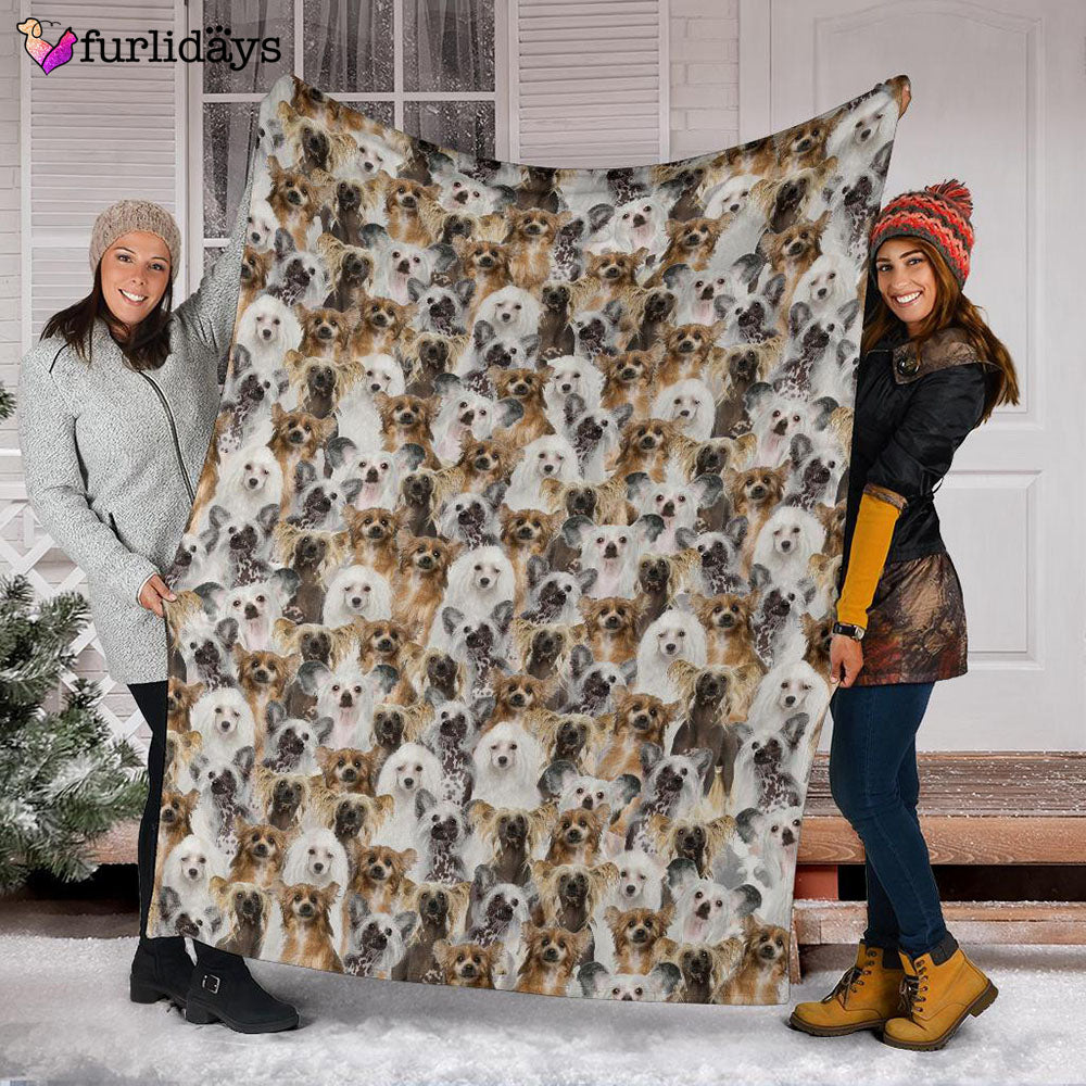 Dog Blanket Dog Face Blanket Dog Throw Blanket Chinese Crested Dog Full Face Blanket Furlidays 3 Dog Blanket Dog Face Blanket Dog Throw Blanket Chinese Crested Dog Full Face Blanket Furlidays 3