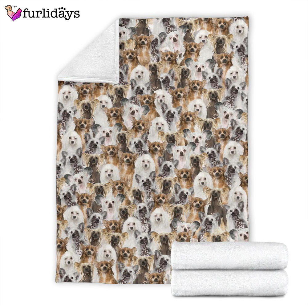 Dog Blanket Dog Face Blanket Dog Throw Blanket Chinese Crested Dog Full Face Blanket Furlidays 4 Dog Blanket Dog Face Blanket Dog Throw Blanket Chinese Crested Dog Full Face Blanket Furlidays 4