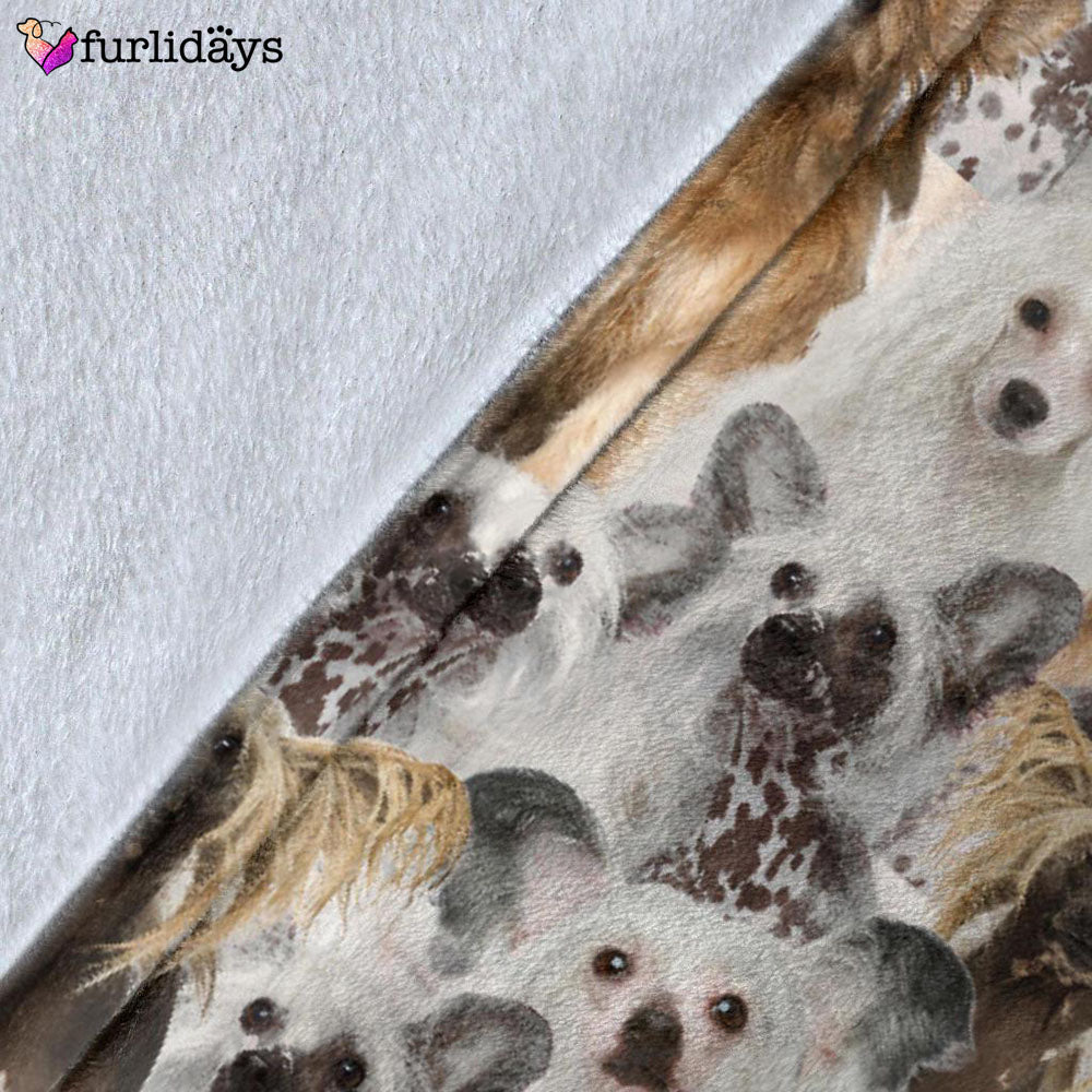 Dog Blanket Dog Face Blanket Dog Throw Blanket Chinese Crested Dog Full Face Blanket Furlidays 5 Dog Blanket Dog Face Blanket Dog Throw Blanket Chinese Crested Dog Full Face Blanket Furlidays 5
