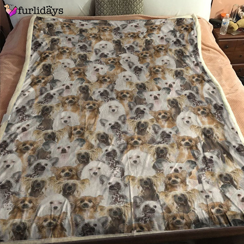 Dog Blanket Dog Face Blanket Dog Throw Blanket Chinese Crested Dog Full Face Blanket Furlidays 6 Dog Blanket Dog Face Blanket Dog Throw Blanket Chinese Crested Dog Full Face Blanket Furlidays 6