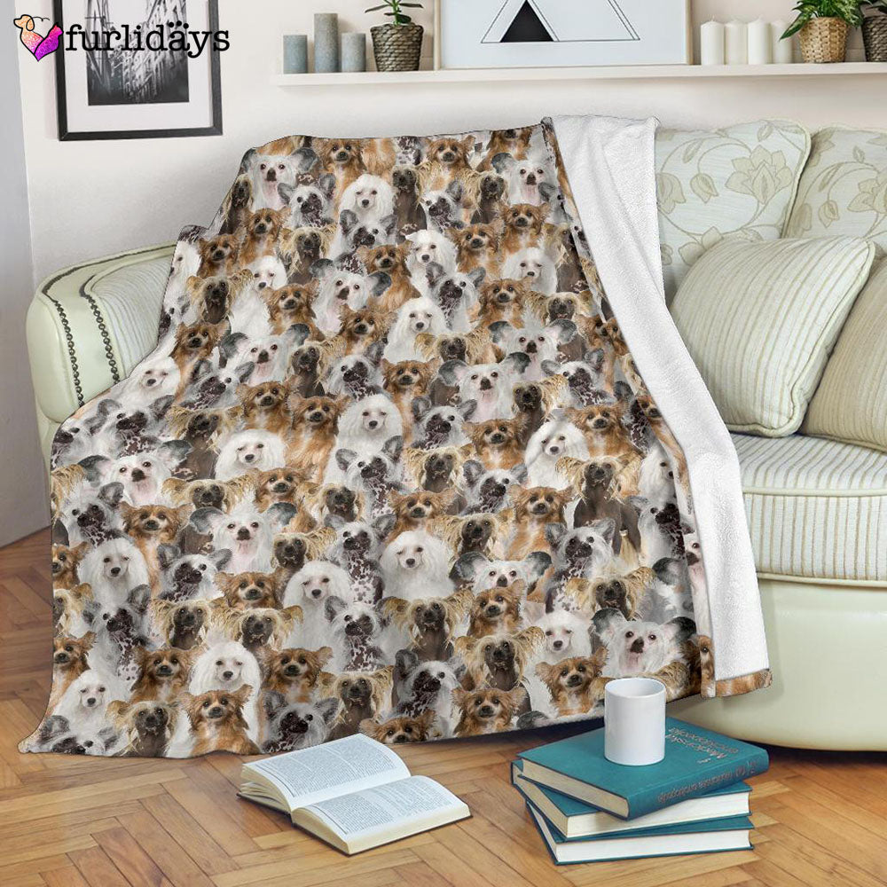 Dog Blanket Dog Face Blanket Dog Throw Blanket Chinese Crested Dog Full Face Blanket Furlidays 7 Dog Blanket Dog Face Blanket Dog Throw Blanket Chinese Crested Dog Full Face Blanket Furlidays 7