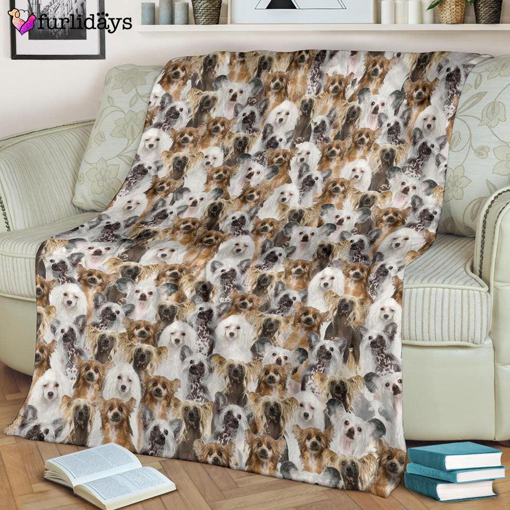 Dog Blanket Dog Face Blanket Dog Throw Blanket Chinese Crested Dog Full Face Blanket Furlidays 8 Dog Blanket Dog Face Blanket Dog Throw Blanket Chinese Crested Dog Full Face Blanket Furlidays 8