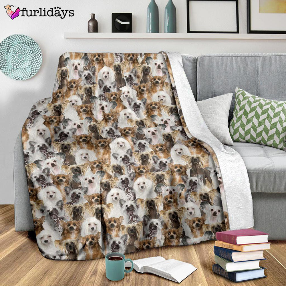 Dog Blanket Dog Face Blanket Dog Throw Blanket Chinese Crested Dog Full Face Blanket Furlidays 9 Dog Blanket Dog Face Blanket Dog Throw Blanket Chinese Crested Dog Full Face Blanket Furlidays 9