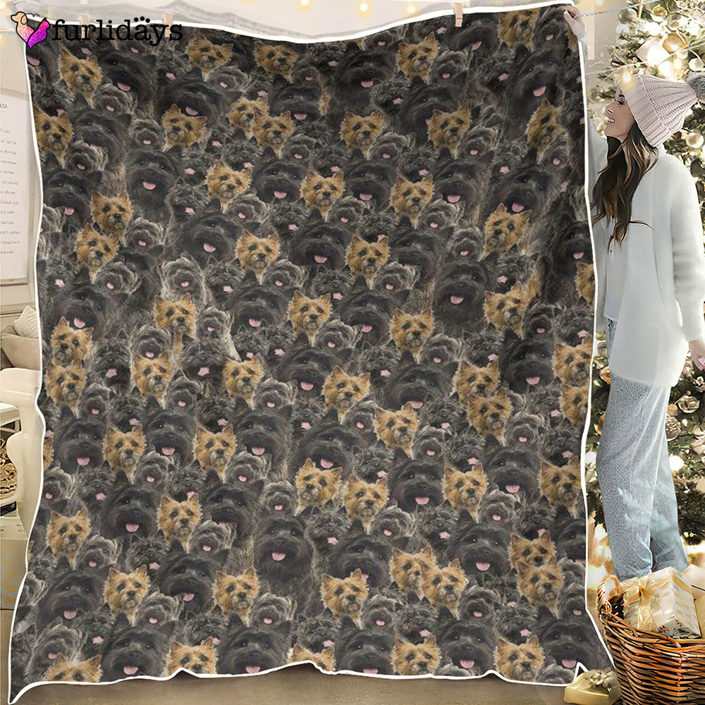 Dog Blanket Dog Face Blanket Dog Throw Blanket Cockapoo Full Face Blanket Furlidays 1 3e7ee131 6029 4a4c 9330 5567da3be781 Dog Blanket Dog Face Blanket Dog Throw Blanket Cockapoo Full Face Blanket Furlidays 1 3e7ee131 6029 4a4c 9330 5567da3be781