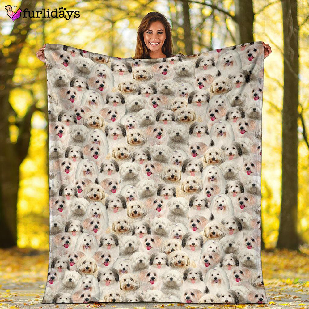 Dog Blanket Dog Face Blanket Dog Throw Blanket Coton De Tulear Full Face Blanket Furlidays 2 Dog Blanket Dog Face Blanket Dog Throw Blanket Coton De Tulear Full Face Blanket Furlidays 2