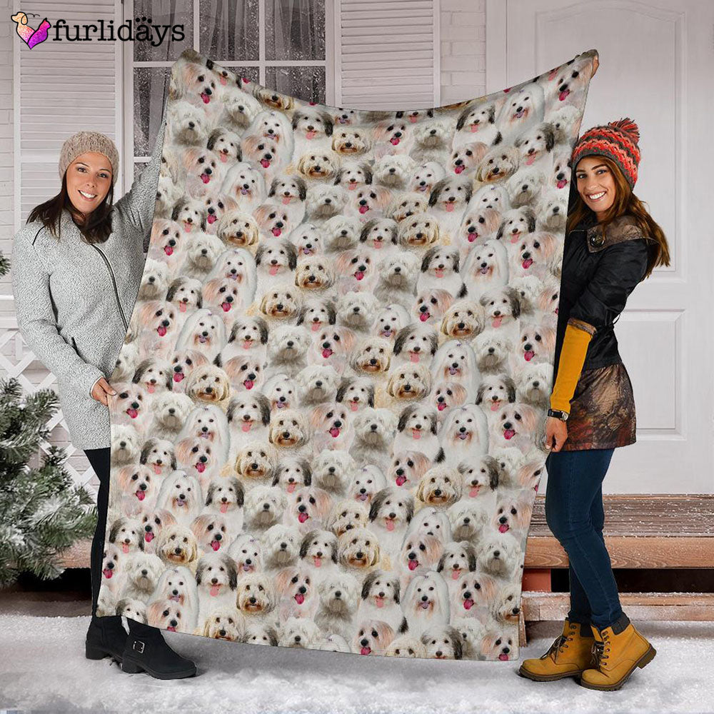 Dog Blanket Dog Face Blanket Dog Throw Blanket Coton De Tulear Full Face Blanket Furlidays 3 13b233f7 d71a 4dc4 affc d5ddd1273b0c Dog Blanket Dog Face Blanket Dog Throw Blanket Coton De Tulear Full Face Blanket Furlidays 3 13b233f7 d71a 4dc4 affc d5ddd1273b0c