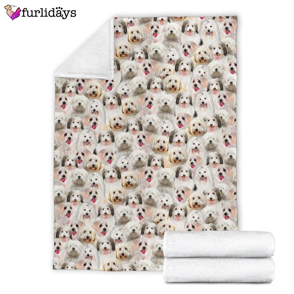 Dog Blanket Dog Face Blanket Dog Throw Blanket Coton De Tulear Full Face Blanket Furlidays 4 e8cc7fd8 c73d 4790 ac11 d2335c773a04 Dog Blanket Dog Face Blanket Dog Throw Blanket Coton De Tulear Full Face Blanket Furlidays 4 e8cc7fd8 c73d 4790 ac11 d2335c773a04