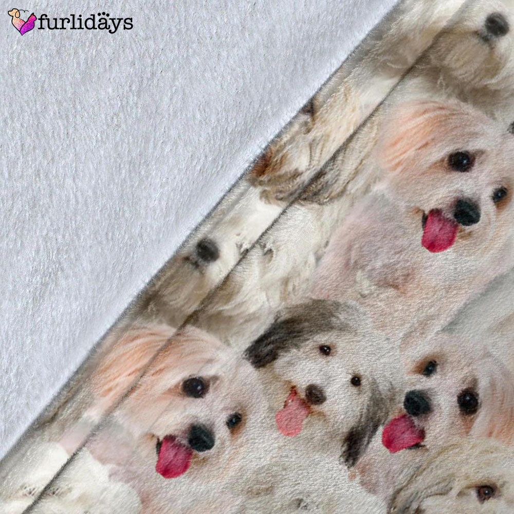 Dog Blanket Dog Face Blanket Dog Throw Blanket Coton De Tulear Full Face Blanket Furlidays 5 Dog Blanket Dog Face Blanket Dog Throw Blanket Coton De Tulear Full Face Blanket Furlidays 5