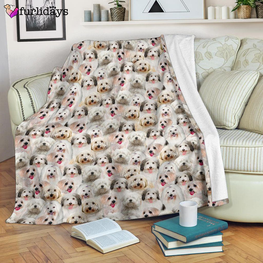 Dog Blanket Dog Face Blanket Dog Throw Blanket Coton De Tulear Full Face Blanket Furlidays 7 b1b98a3f efa6 484d 8a1c 543be1fd57e1 Dog Blanket Dog Face Blanket Dog Throw Blanket Coton De Tulear Full Face Blanket Furlidays 7 b1b98a3f efa6 484d 8a1c 543be1fd57e1