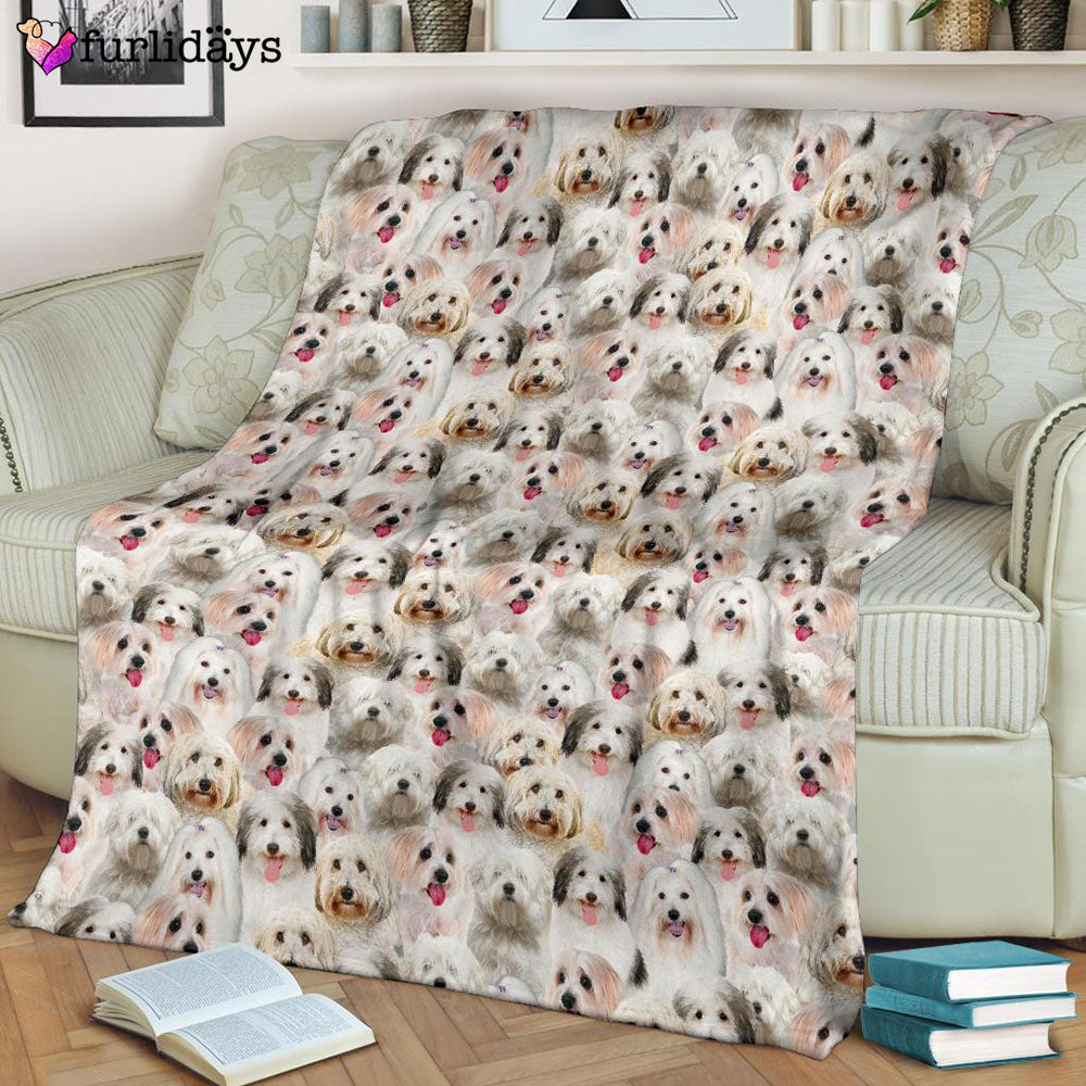 Dog Blanket Dog Face Blanket Dog Throw Blanket Coton De Tulear Full Face Blanket Furlidays 8 Dog Blanket Dog Face Blanket Dog Throw Blanket Coton De Tulear Full Face Blanket Furlidays 8