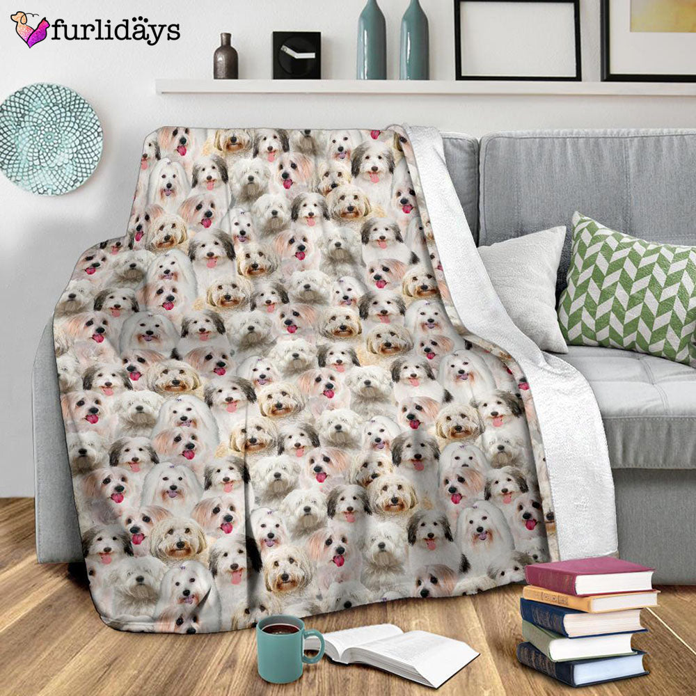 Dog Blanket Dog Face Blanket Dog Throw Blanket Coton De Tulear Full Face Blanket Furlidays 9 e2622afa e365 43f1 a0db 9c69a730e394 Dog Blanket Dog Face Blanket Dog Throw Blanket Coton De Tulear Full Face Blanket Furlidays 9 e2622afa e365 43f1 a0db 9c69a730e394