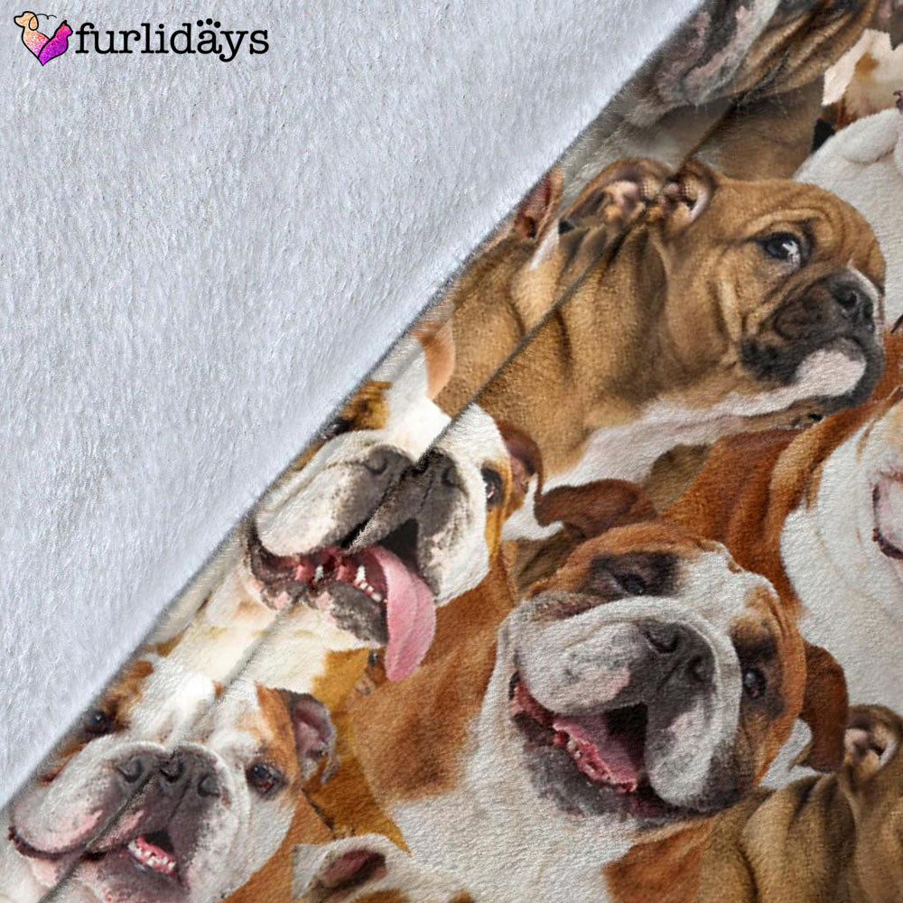 Dog Blanket Dog Face Blanket Dog Throw Blanket English Bulldog Full Face Blanket Furlidays 5 424ddd57 70fe 4091 8bd0 4887b2e8b99f Dog Blanket Dog Face Blanket Dog Throw Blanket English Bulldog Full Face Blanket Furlidays 5 424ddd57 70fe 4091 8bd0 4887b2e8b99f