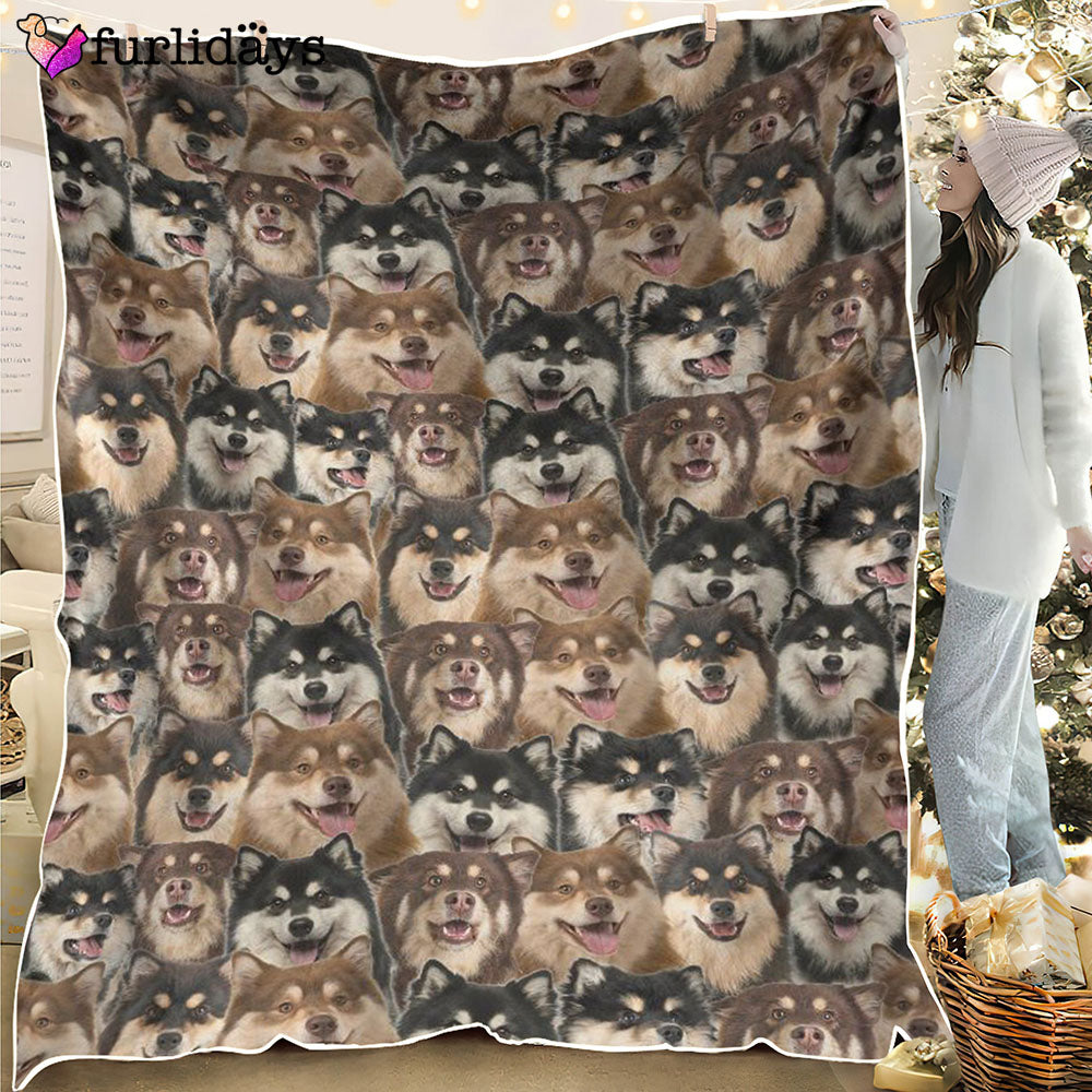Dog Blanket Dog Face Blanket Dog Throw Blanket Finnish Lapphund Full Face Blanket Furlidays 1 b95f486d b9bf 41c2 b2f3 72dd0db372ee Dog Blanket Dog Face Blanket Dog Throw Blanket Finnish Lapphund Full Face Blanket Furlidays 1 b95f486d b9bf 41c2 b2f3 72dd0db372ee