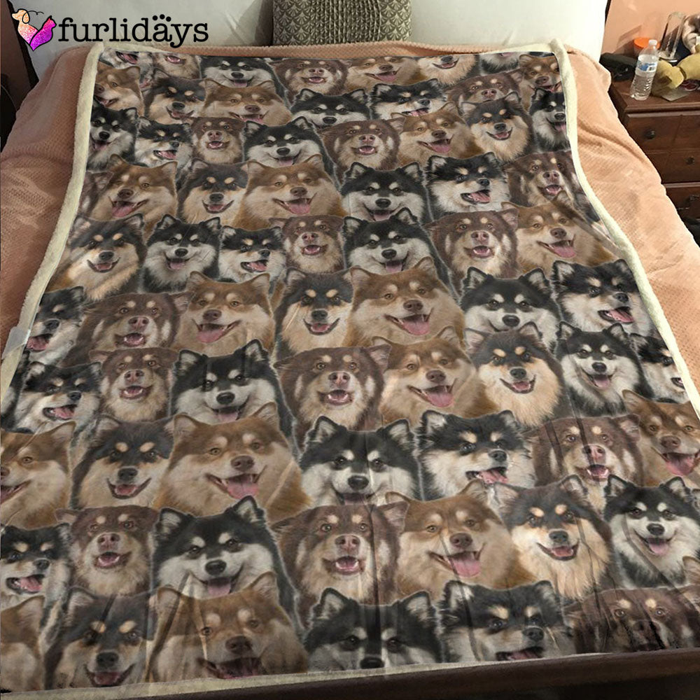 Dog Blanket Dog Face Blanket Dog Throw Blanket Finnish Lapphund Full Face Blanket Furlidays 2 Dog Blanket Dog Face Blanket Dog Throw Blanket Finnish Lapphund Full Face Blanket Furlidays 2