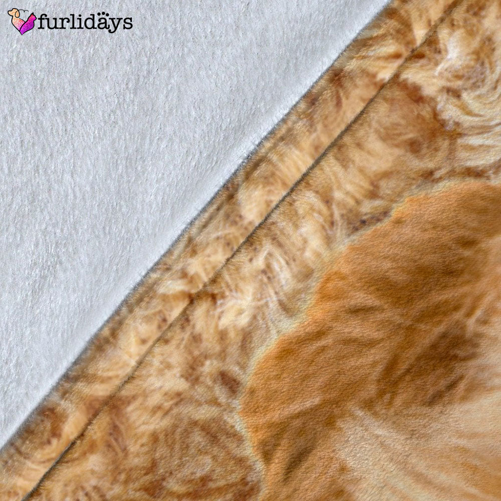 Dog Blanket Dog Face Blanket Dog Throw Blanket Goldendoodle Blanket Furlidays 7 1fb607be bc2e 4b73 9608 2847a3fa9b56 Dog Blanket Dog Face Blanket Dog Throw Blanket Goldendoodle Blanket Furlidays 7 1fb607be bc2e 4b73 9608 2847a3fa9b56