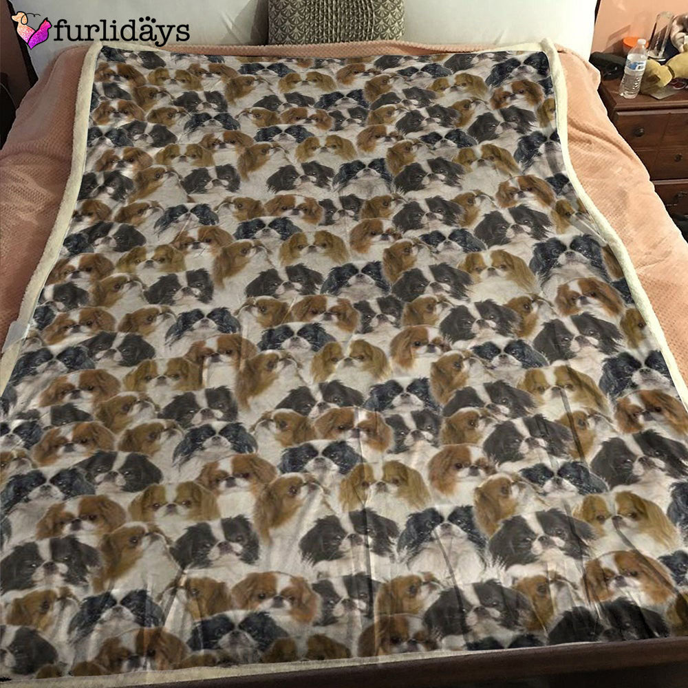 Dog Blanket Dog Face Blanket Dog Throw Blanket Gordon Setter Full Face Blanket Furlidays 1 Dog Blanket Dog Face Blanket Dog Throw Blanket Gordon Setter Full Face Blanket Furlidays 1