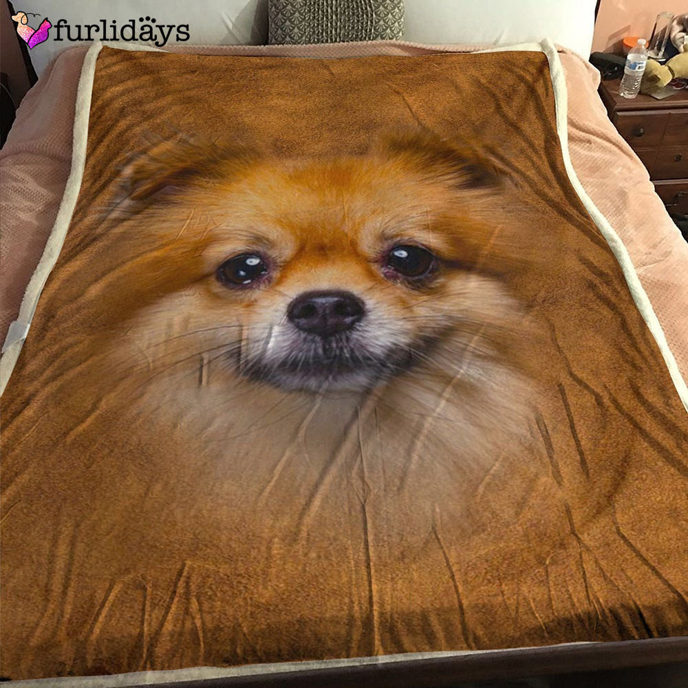 Dog Blanket Dog Face Blanket Dog Throw Blanket Greater Swiss Mountain Dog Full Face Blanket Furlidays 1 Dog Blanket Dog Face Blanket Dog Throw Blanket Greater Swiss Mountain Dog Full Face Blanket Furlidays 1