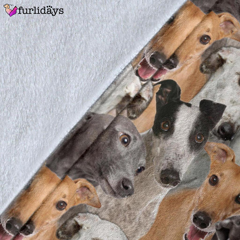 Dog Blanket Dog Face Blanket Dog Throw Blanket Greyhound Full Face Blanket Furlidays 5 05c03d55 63d7 4762 9124 1cb2554c2ebe Dog Blanket Dog Face Blanket Dog Throw Blanket Greyhound Full Face Blanket Furlidays 5 05c03d55 63d7 4762 9124 1cb2554c2ebe