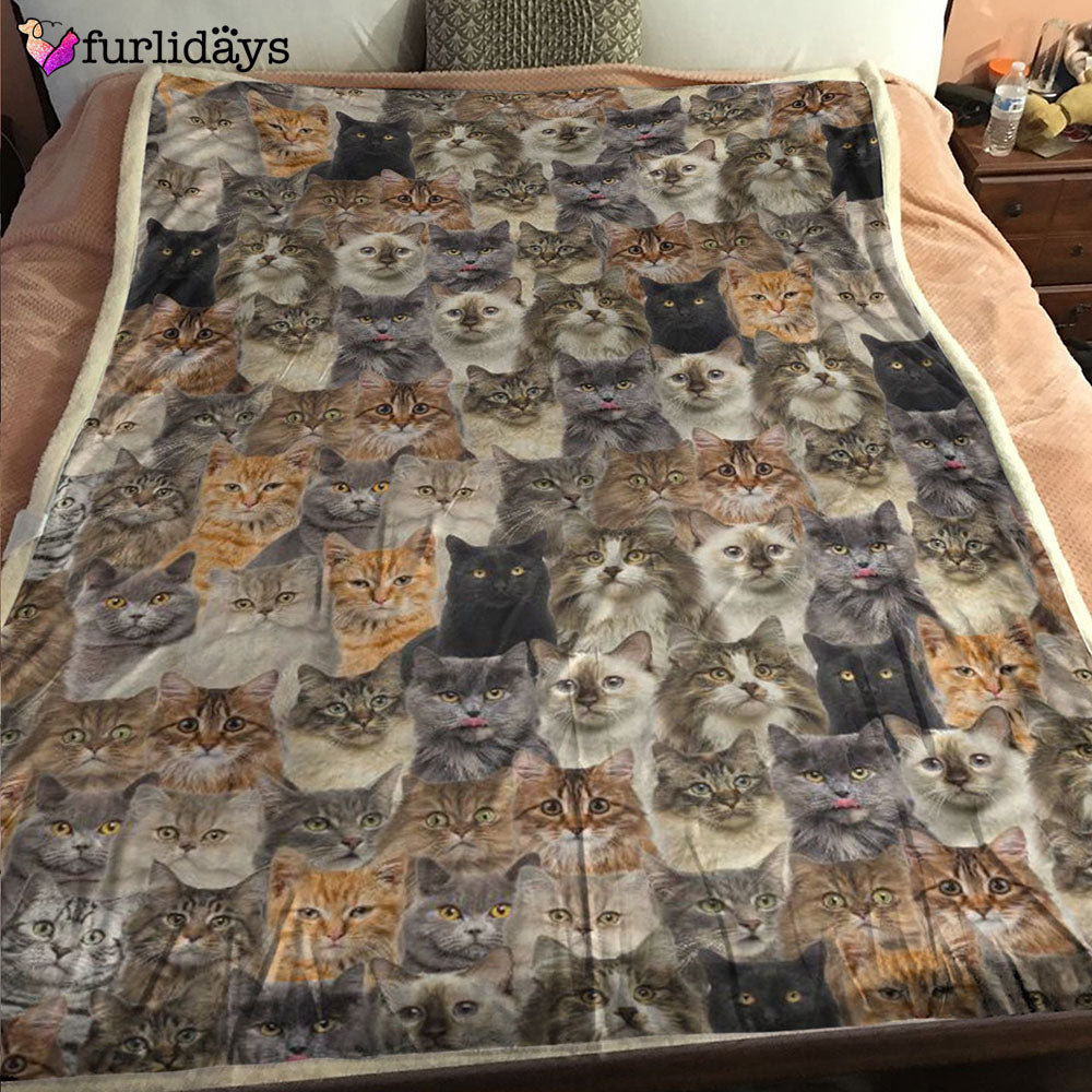 Dog Blanket Dog Face Blanket Dog Throw Blanket Griffon Bruxellois Full Face Blanket Furlidays 1 Dog Blanket Dog Face Blanket Dog Throw Blanket Griffon Bruxellois Full Face Blanket Furlidays 1