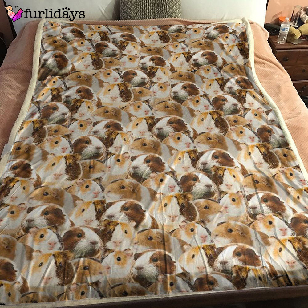 Dog Blanket Dog Face Blanket Dog Throw Blanket Guinea Pig Full Face Blanket Furlidays 1 Dog Blanket Dog Face Blanket Dog Throw Blanket Guinea Pig Full Face Blanket Furlidays 1